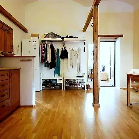 Great In Vinohrady Appartement Praag